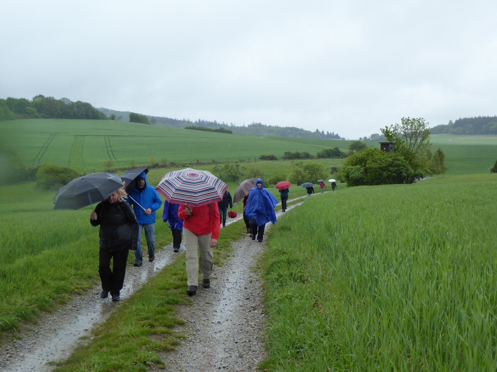 Auf der Hochebene von Bodenrod - Foto Reihe GangART Auf der Hochebene von Bodenrod - Foto Reihe GangART