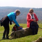 Blog Rast an Eiche Momart
