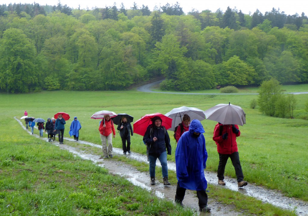 Nach dem Stilleweg - Tour 43 der Reihe GangART