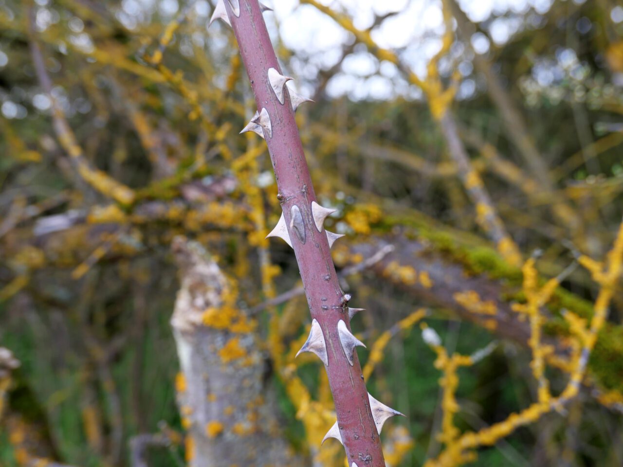 Wo die Seele Frieden findet