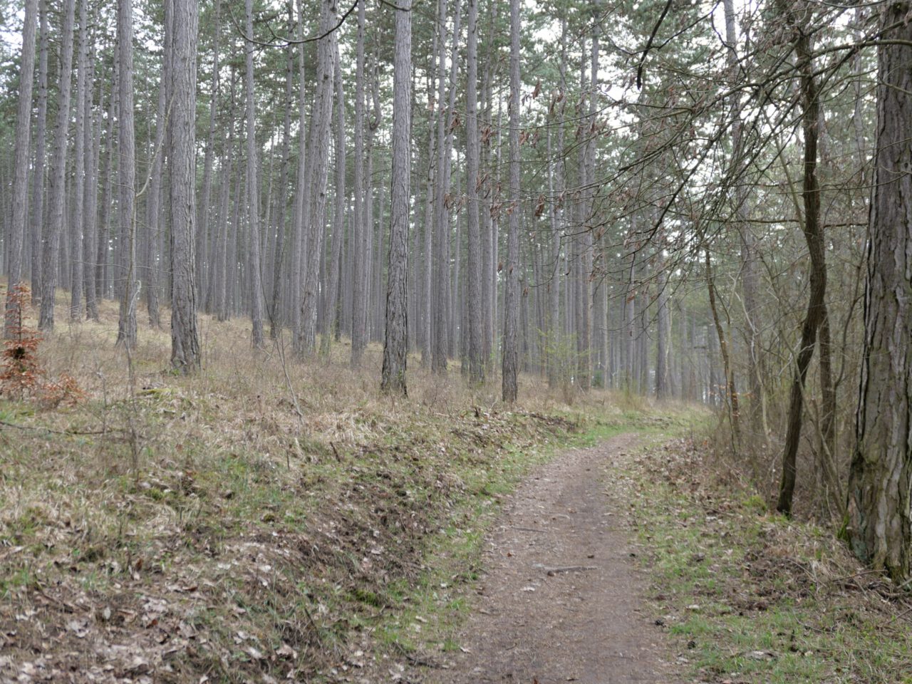 Wo die Seele Frieden findet