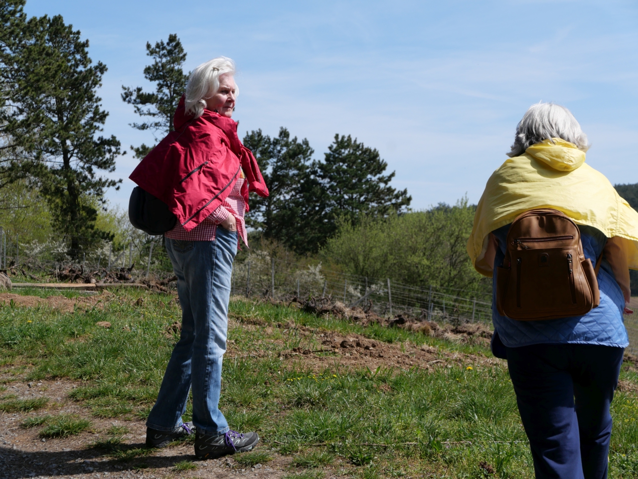 Wo die Seele Flügel findet