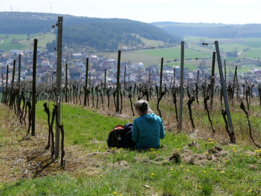 Wo die Seele Flügel findet