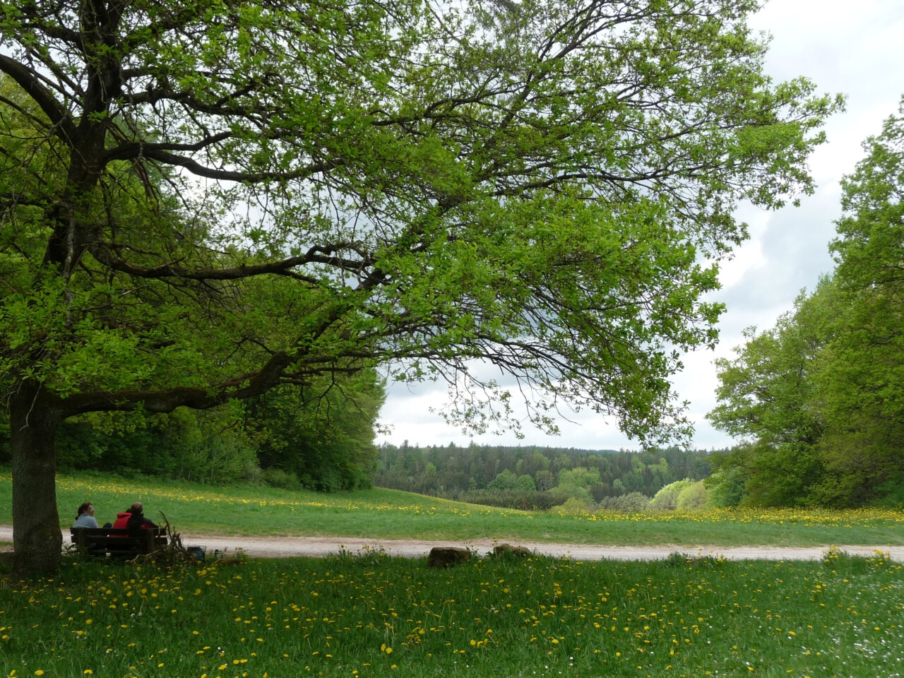 Eine der unerforschtesten Gegenden der Welt - Ausblick von der Kreuzkapelle bei Frammersbach