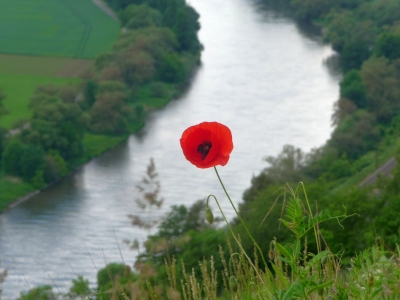 Zwei Wege zum Genuss