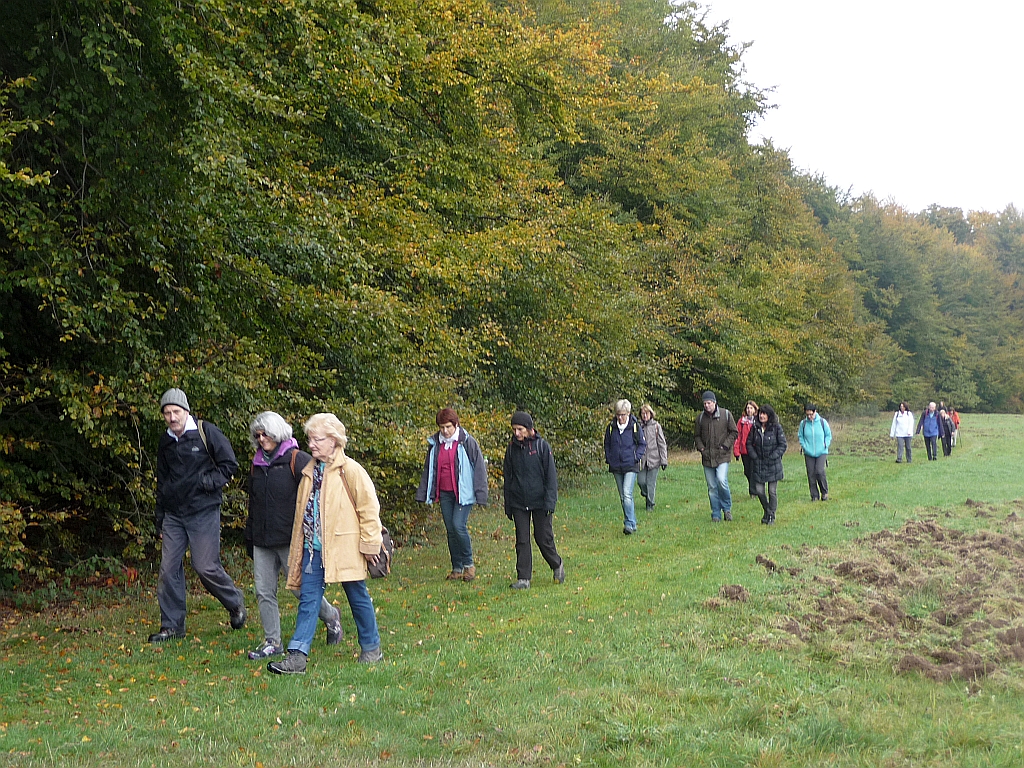 Auf der Weikertswiese geht man der überragenden Kraft des Unsichtbaren entgegen - Tour der Reihe GangART