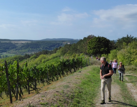 Lärmkollaps bei Stilletour - Jetzt bleibt der Lärm im Tal - Weinberge bei Hammelburg