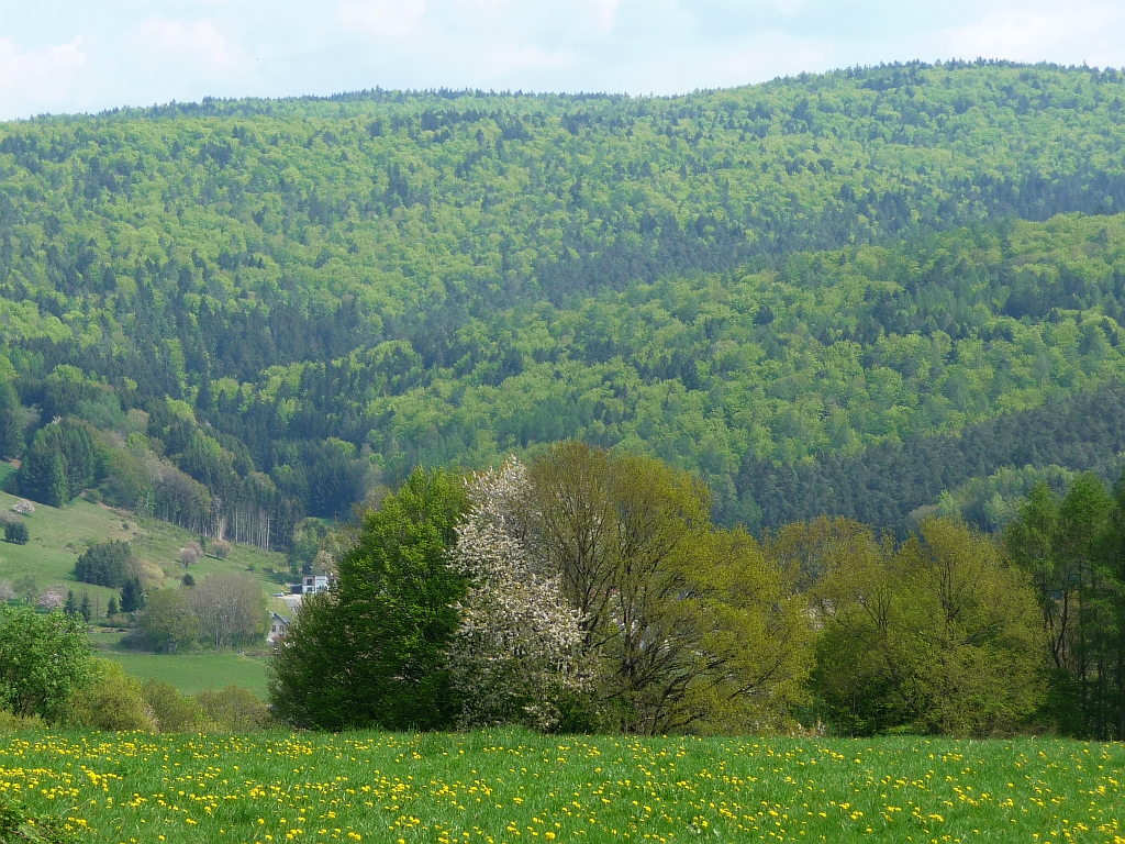 Aufbruch in die Stille - Ausblick vom Faustballfeld ins Frammersbacher Tal des Spessarts