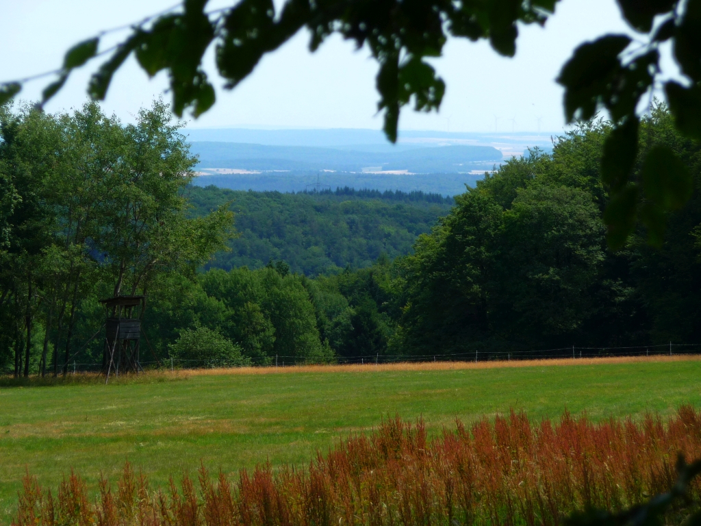 Fernsicht von der Weikertswiese im Spessart