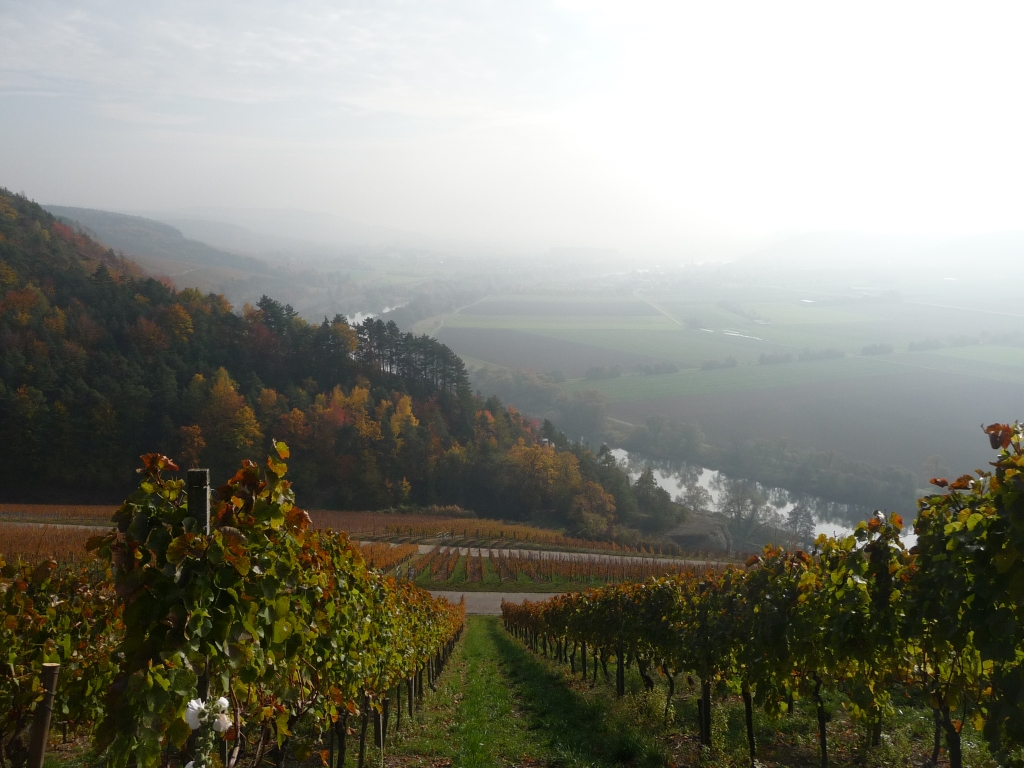 Blick auf den Main vom Mainweg - Etappe der Tour der Reihe GangART, die unter dem Motto steht "Ankommen und Zuflucht finden"