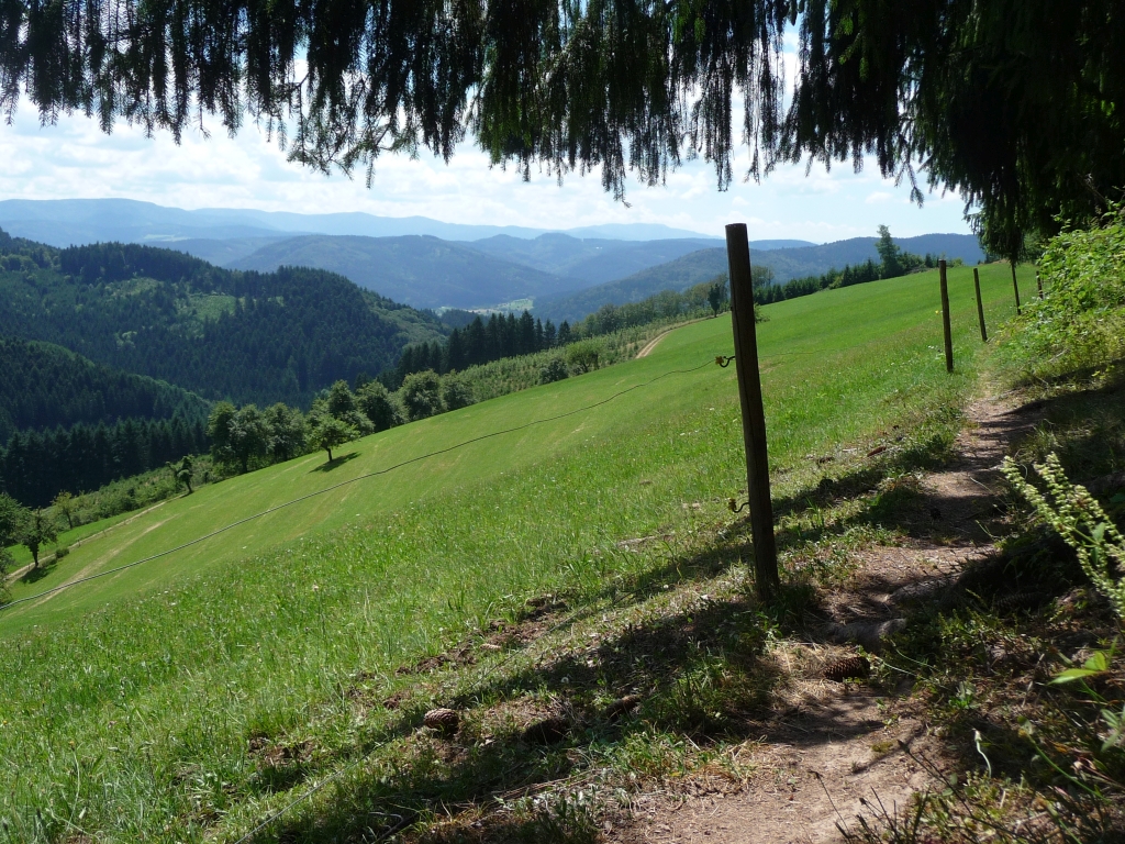 Kinzigtäler Jakobusweg zwischen Heizenbauer Kreuz und Dierlesberg - nach dem Aufstieg in die Stille