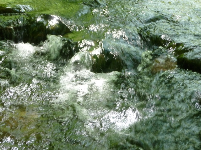 Pommes im Tal der Ahnungslosen