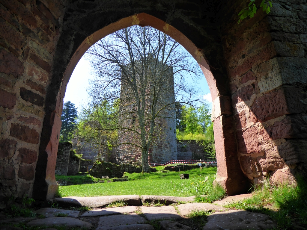 Die Burg Wildenberg ist gerade einmal 20 Minuten zu Fuß vom ältesten Bauernhaus im Odenwald entfernt.