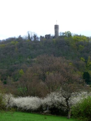 Der Weg der Erneuerung