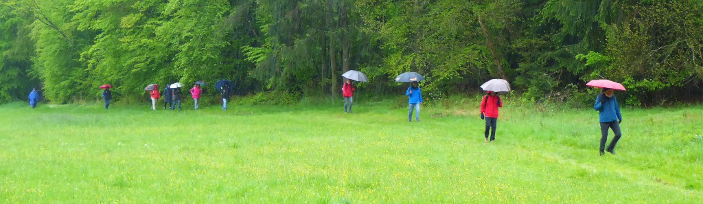 Ausweg aus dem Sonnenkult - Durch die Maibacher Schweiz - Foto von Georg Magirius