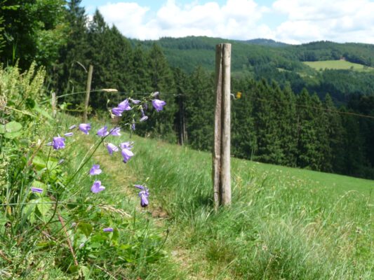 Methode Seitenweg