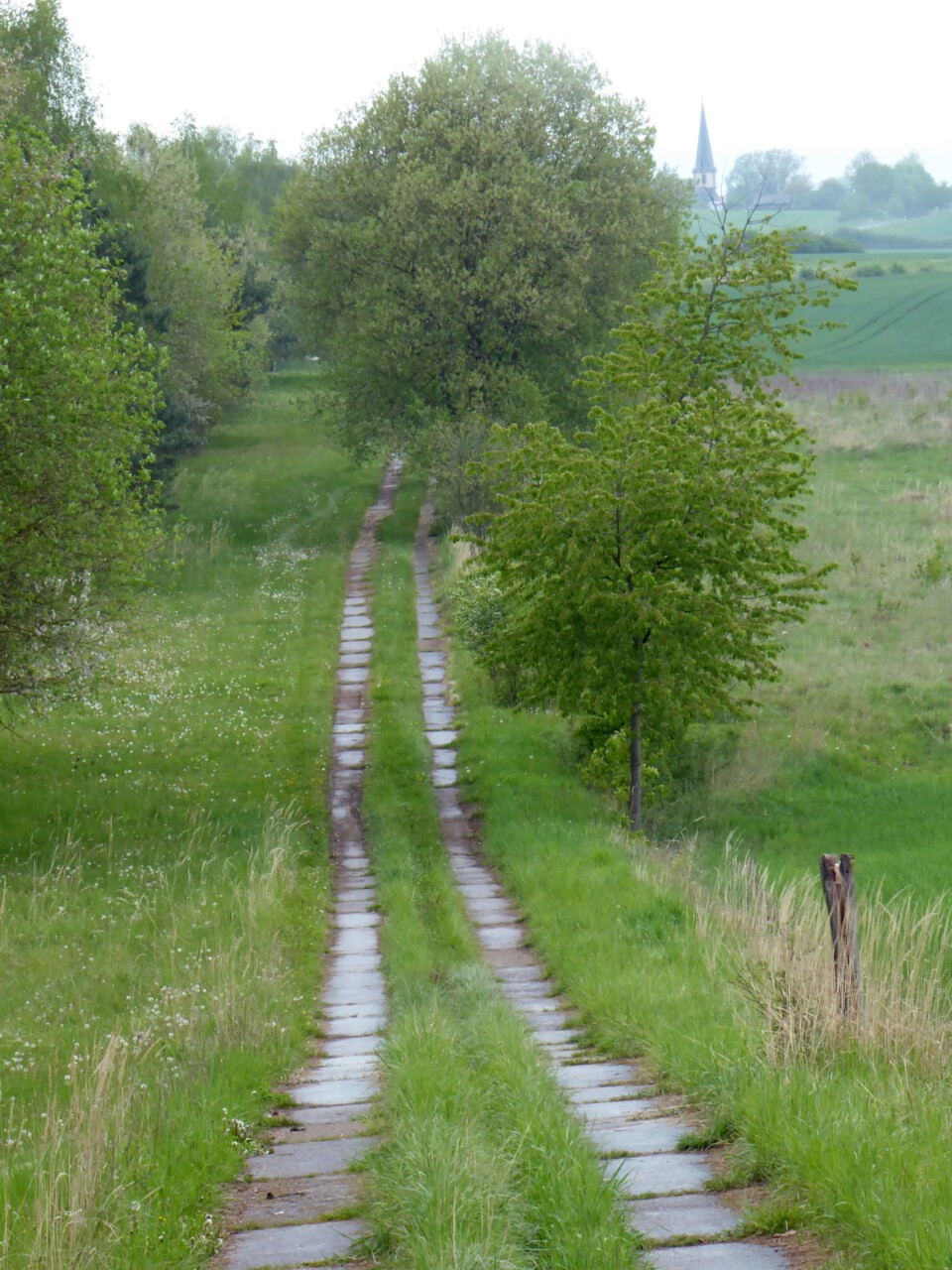 Kolonnenweg bei Breitensee - Grünes Band