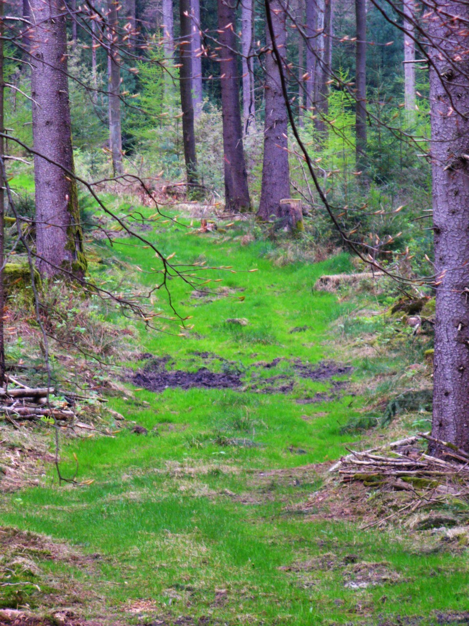 Verborgene Kräfte