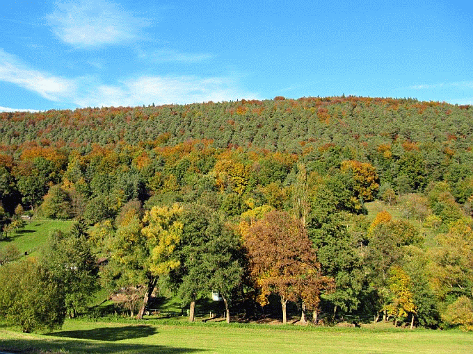 Blick in den Odenwald im Ohrenbachtal mit Herbstfärbung der Bäume