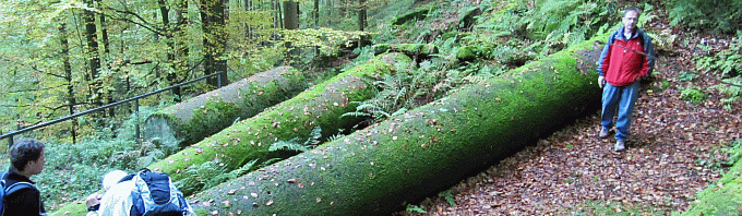 Kraftzuwachs für wilde Wanderer