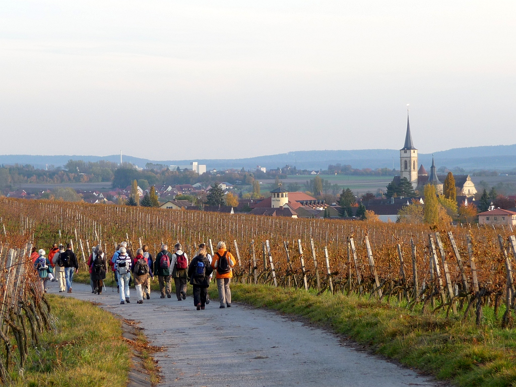 Spirituelle Weinprobe: Pilger der Reihe GangART gehen durch die Weinberge bei Iphofen