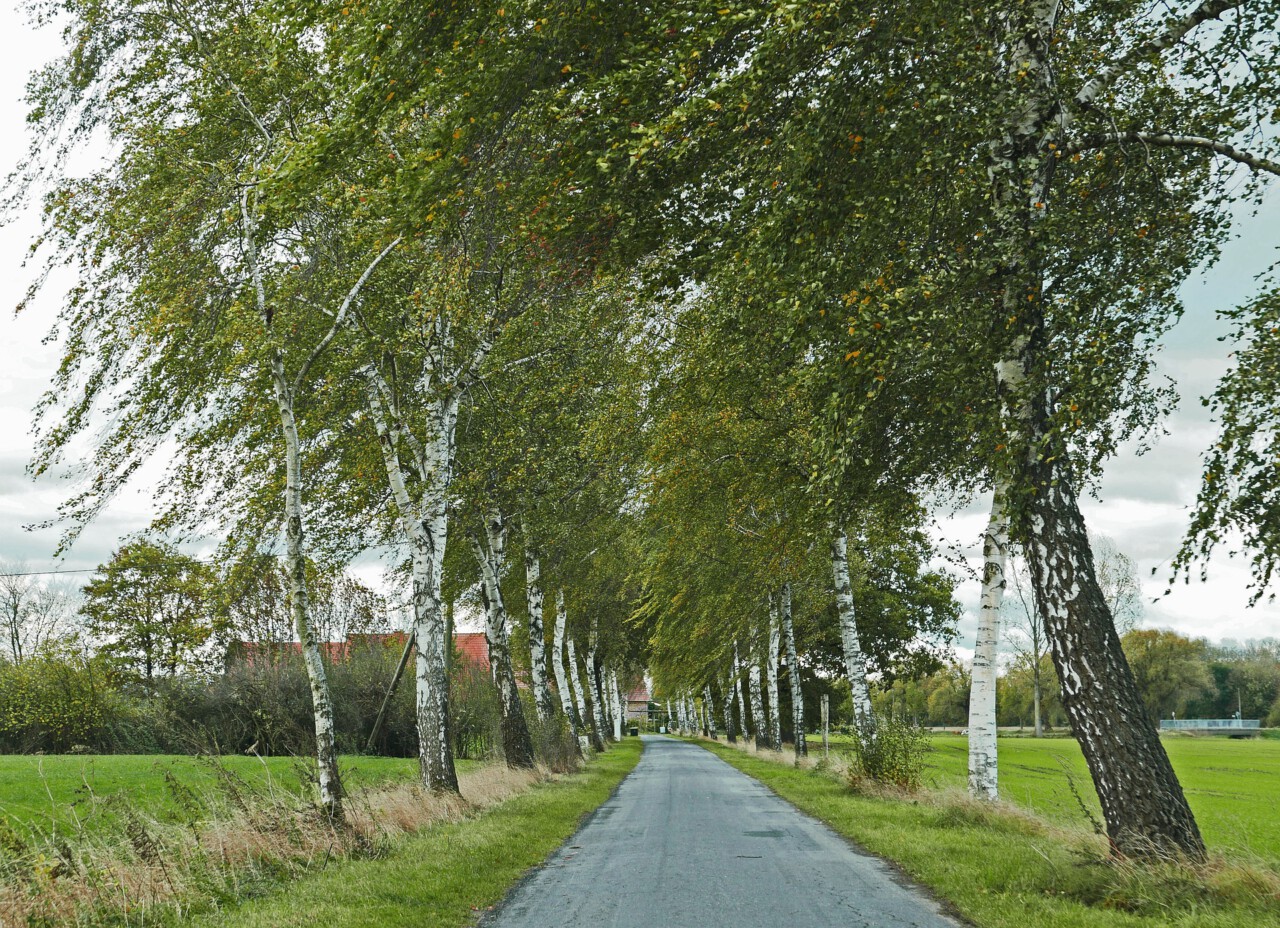 Überleben im Münsterland