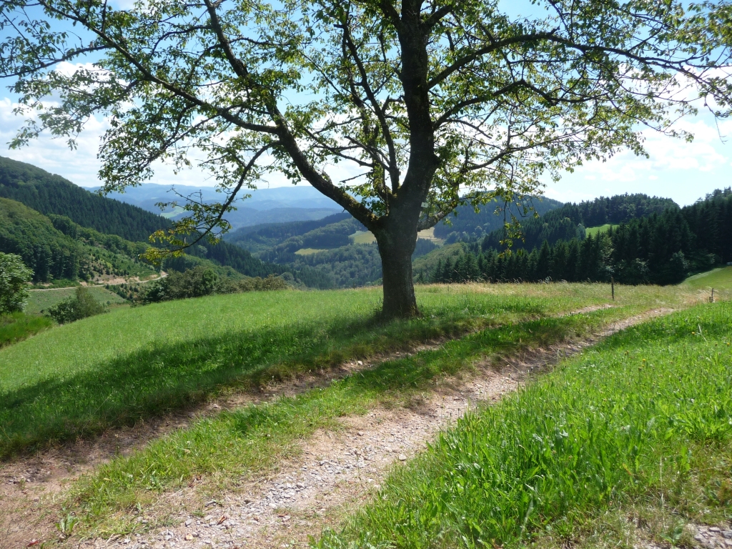 Niller Eck - Aufstieg in die Stille mit Caroline Huber von Herder Reisen