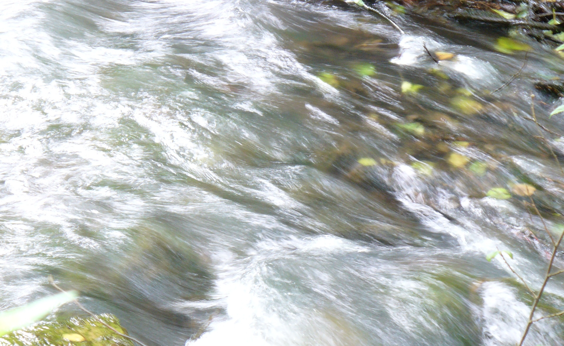 Was bedeutet Pfingsten? Ein Leben, das den Korrektheitseifer davonschwemmt. Geschwindigswasser Buchenbach im Spessart. 