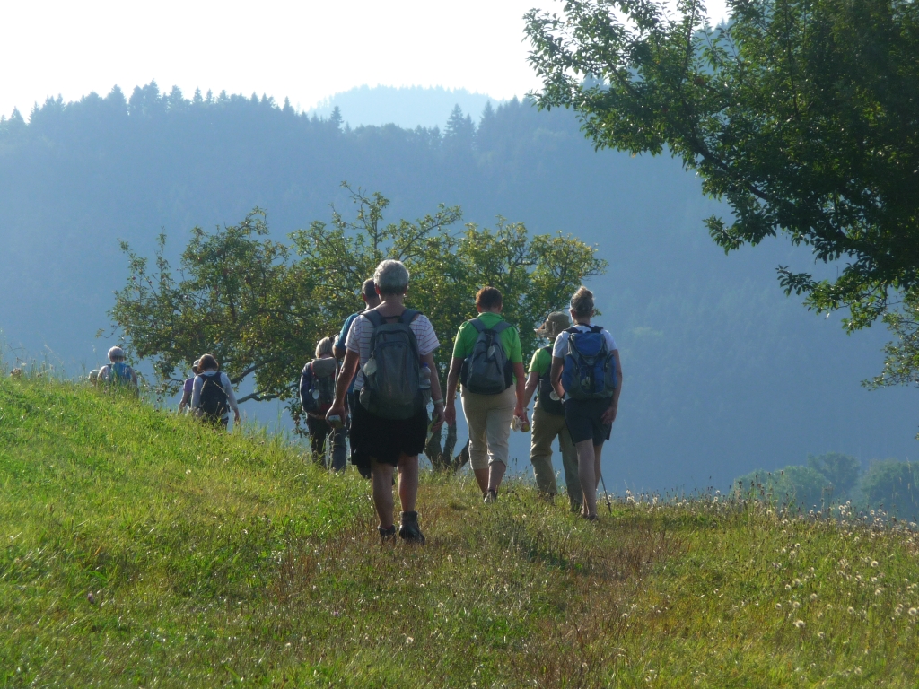 Pilgern für Aufsteiger - kurz vor der Kirche Maria in Ketten in Zell - Schwarzwald