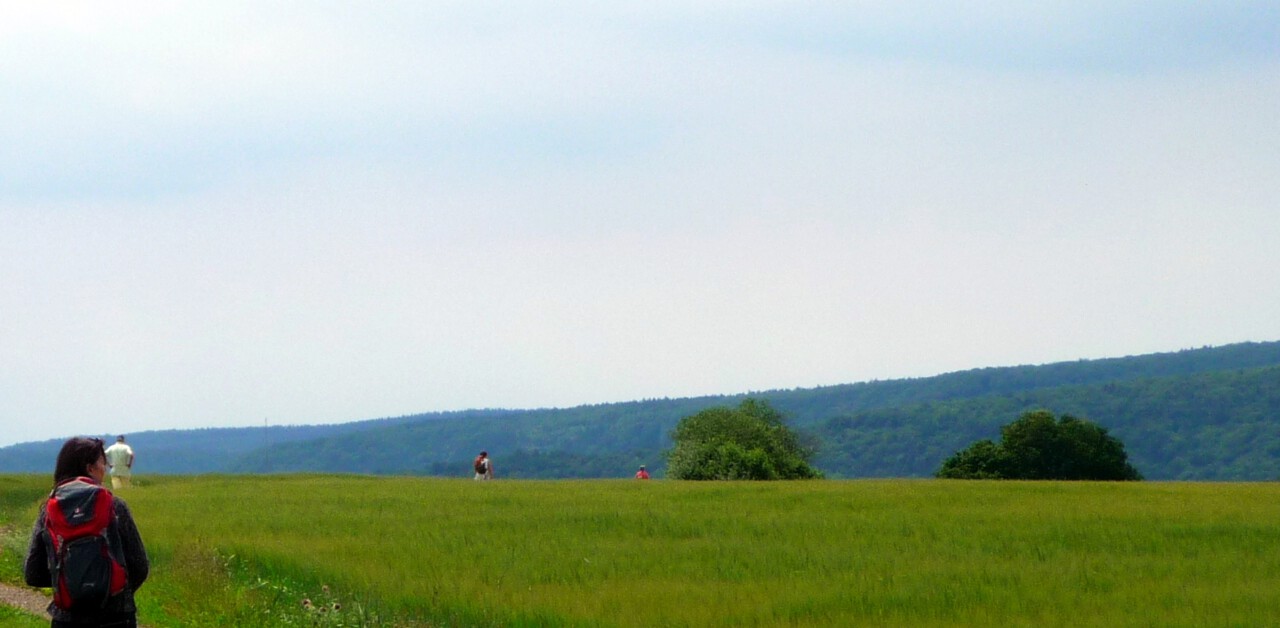 Angela Ruland bei einer Tour mit der Reihe GangART auf dem Weg zum Tretstein - Die Tour ist passend für ein Pilgern mit Anfänger. Sie führt über die Hochebene bei Wartmannsroth. Foto von Georg Magirius 