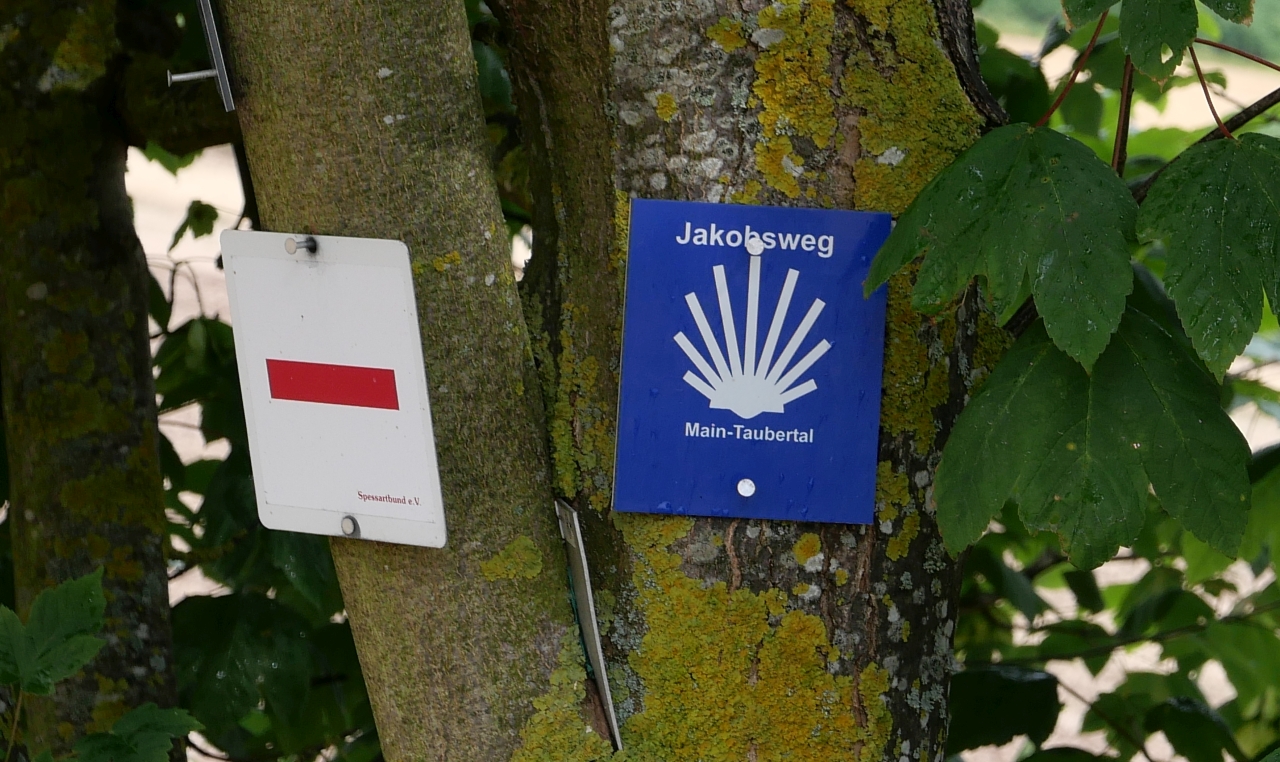 Wanderzeichen Roter Querstrich und weiße Jakobsmuschel auf blauem Grund des Jaobswegs - angebracht an einem Baum - sie erleichtern ein Pilgern auf gut markierten Wegen