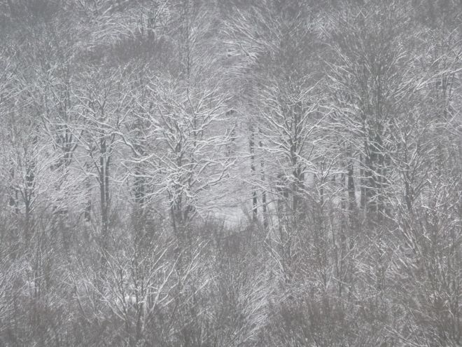 Spessartschnee - Foto zum Beitrag "Auf dem Gebirge hat man ein Geschrei gehöret" von Georg Magirius