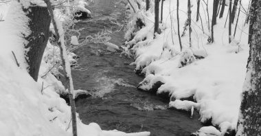 Frohe Botschaft für Weihnachtsmuffel