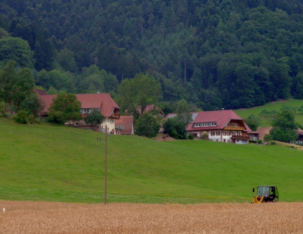 Schwarzwaldhäuser in Nordrach - Etappe der Tour "Hindernis mit Aussicht" 