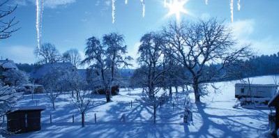 Liebe im Schwarzwaldschnee