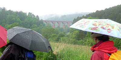 Mutig durchs Trollwutgebiet