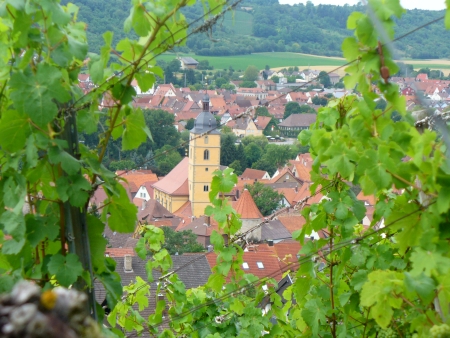 Die Früchte meines Lebens