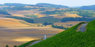 Mit Wein zur spirituellen Erkenntnis