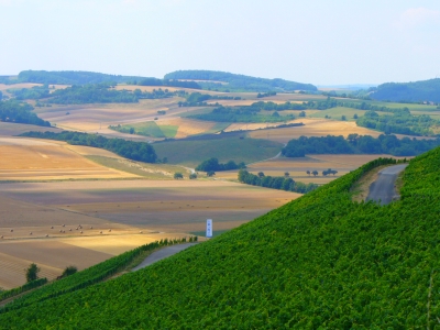 Mit Wein zur spirituellen Erkenntnis