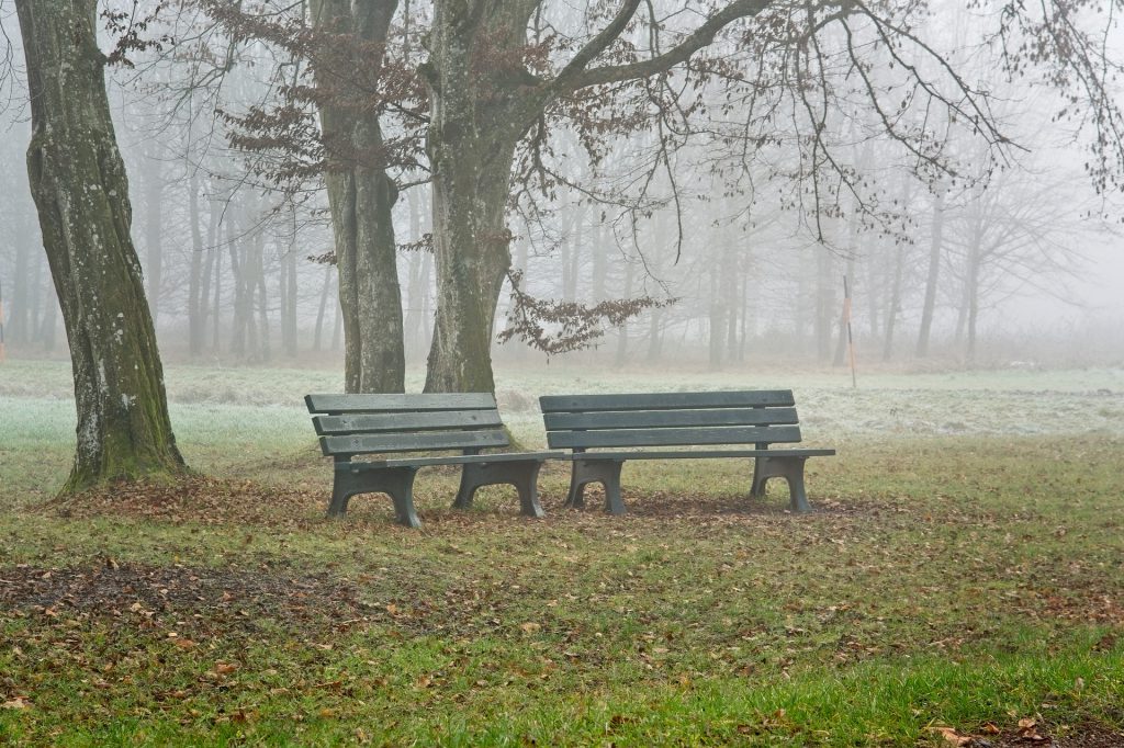 Warnung vor dem Stillekult - Zwei leere Parkbänke im Nebel