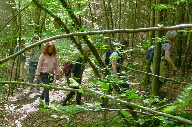 Talwindung Absturz bei Vertrauenstour - Pilger im dschungelartigen Wald