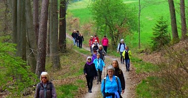 Das Langsame kommt mit Macht