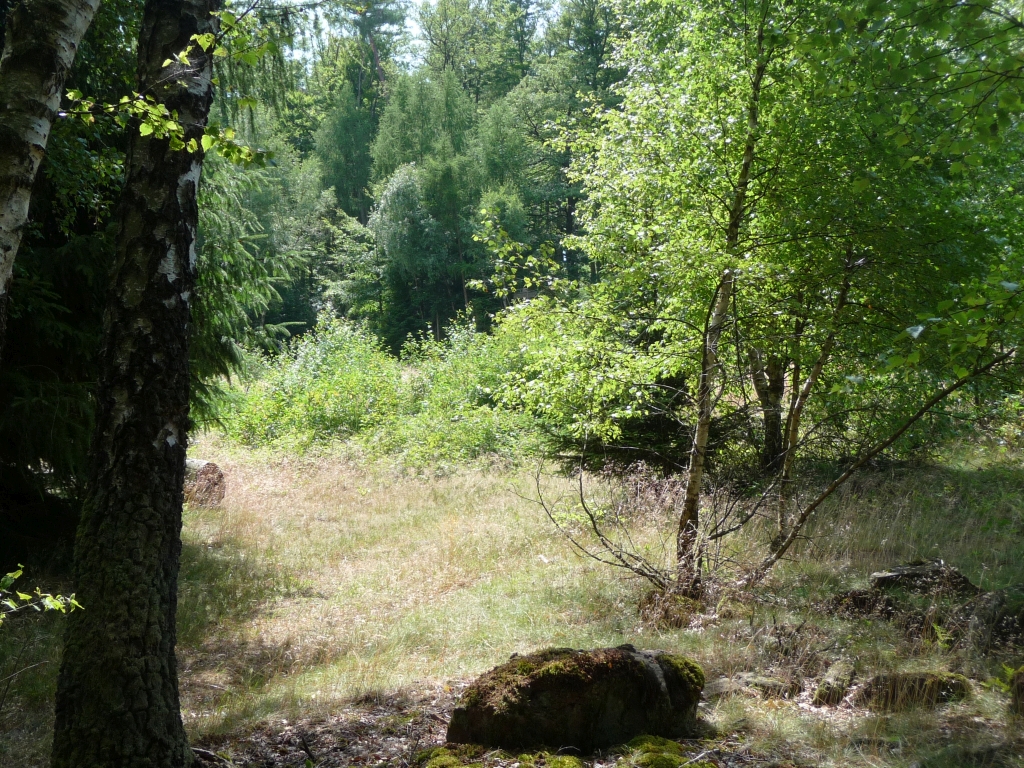 Weikertswiese bei  Rechtenbach im Hochspessart - etappe der Tour "Auf und ab ins Glück" - Foto von Georg Magirius