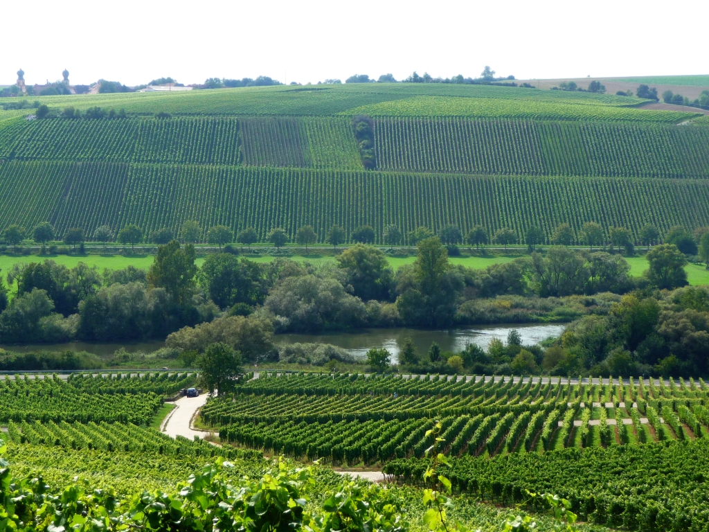 Weininsel bei Volkach am Main - Dort gilt: Trink deinen Wein mit gutem Mut!