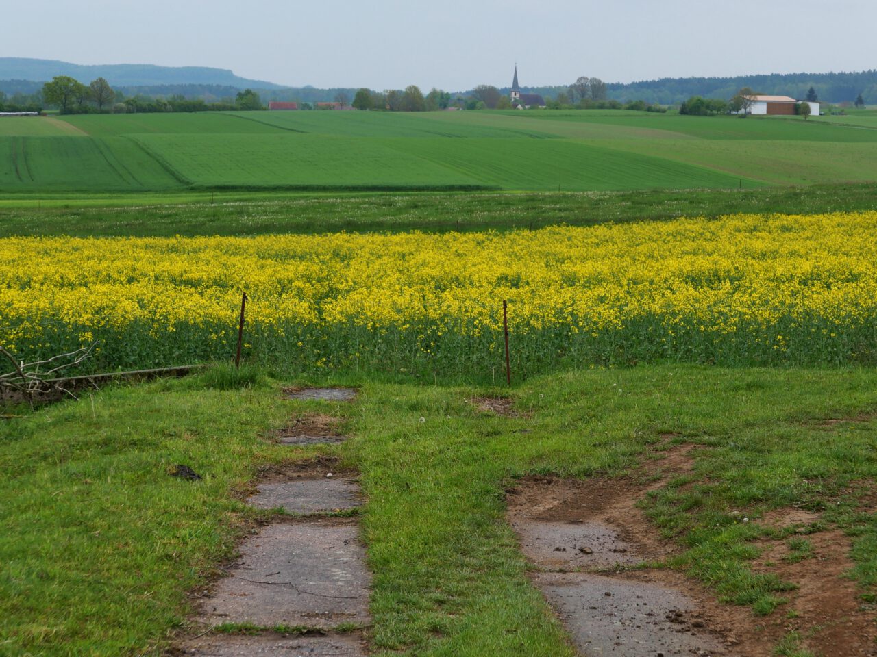 Breitensee in Franken - Station der Expedition Grenzenlosigkeit