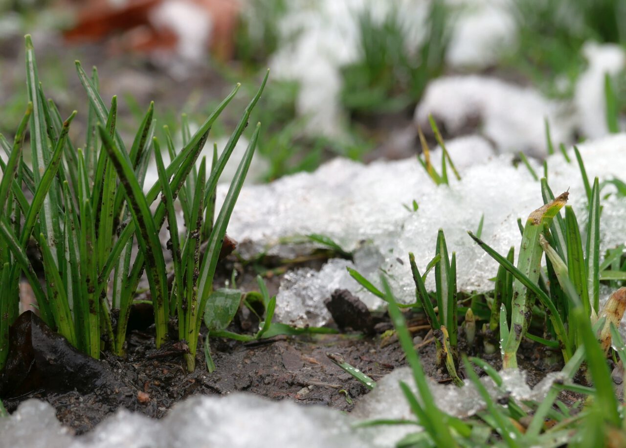 Am stärksten wirkt die Kraft im Unsichtbaren