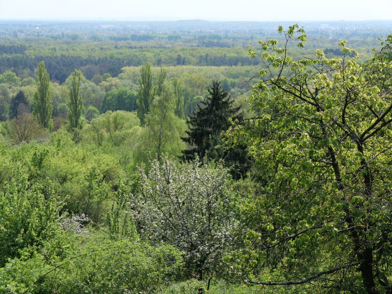 Gipfelglück im Flachland