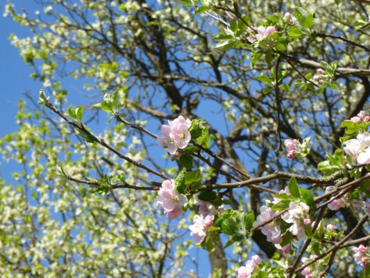 Am stärksten wirkt die Kraft im Unsichtbaren