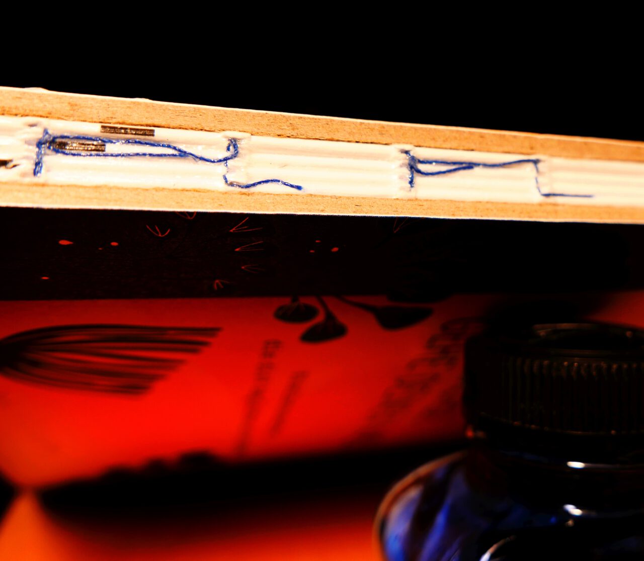 Auch ein schwacher Rücken kann entzücken - Das Buch "Leuchte. Wachse. Gehe deinen Weg" mit Illustrationen von Marie zu Dohna - Foto (c) Georg Magirius