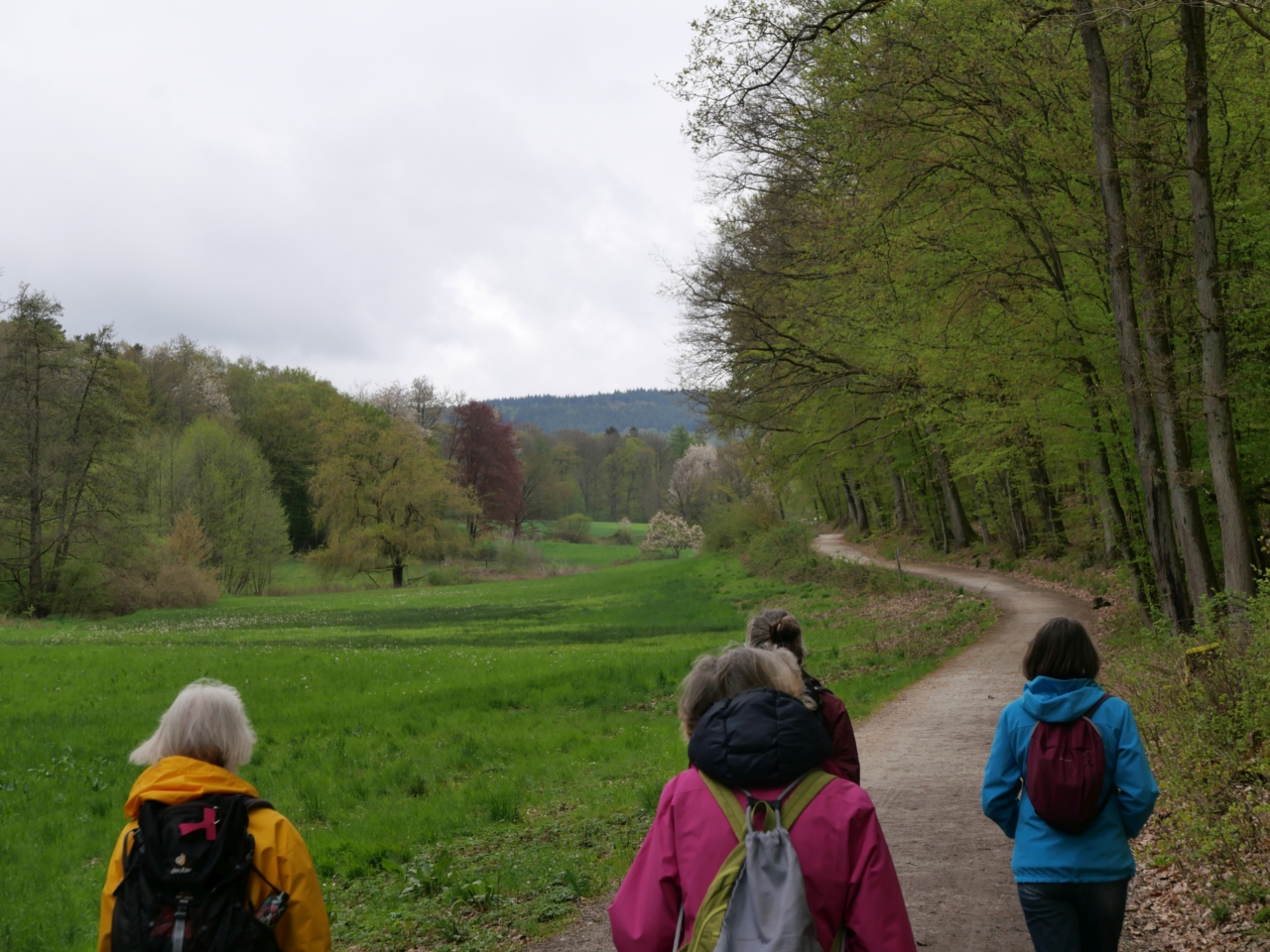Gemeinsames Gehen führt oft weiter als 1000 Diskussionen
